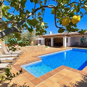 Palmera Villa Sant Jordi de ses Salines